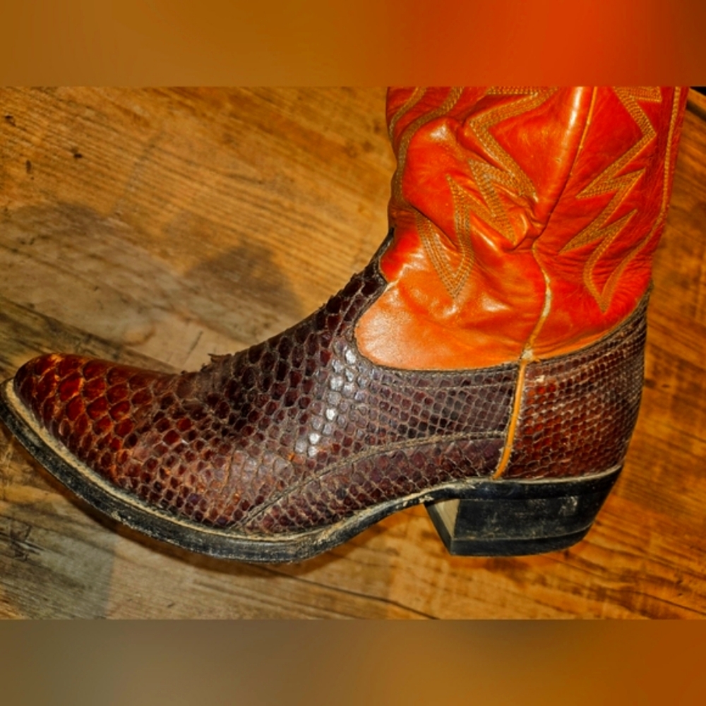 Snakeskin cowboy boots